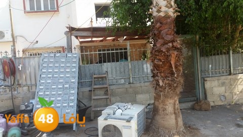 dahmashasudwq (23).jpg